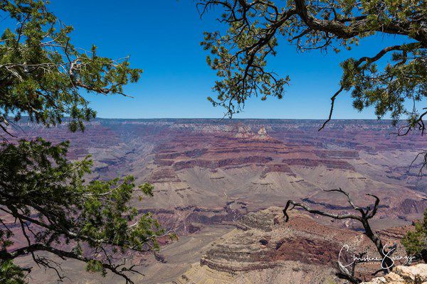 South Rim of the Grand Canyon